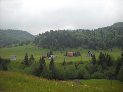 131. Okolí NP Biogradská Gora.jpg